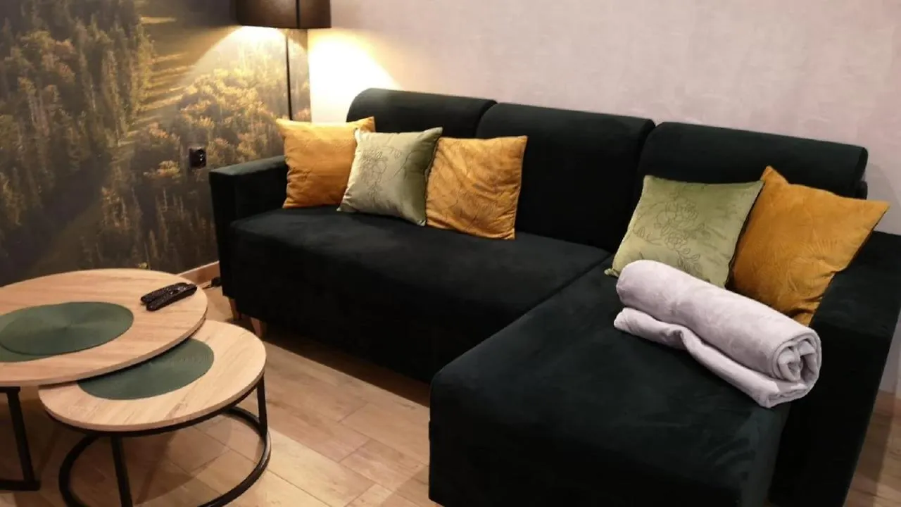 Apartamenty Sun & Snow Pardalowka Zakopane Poland